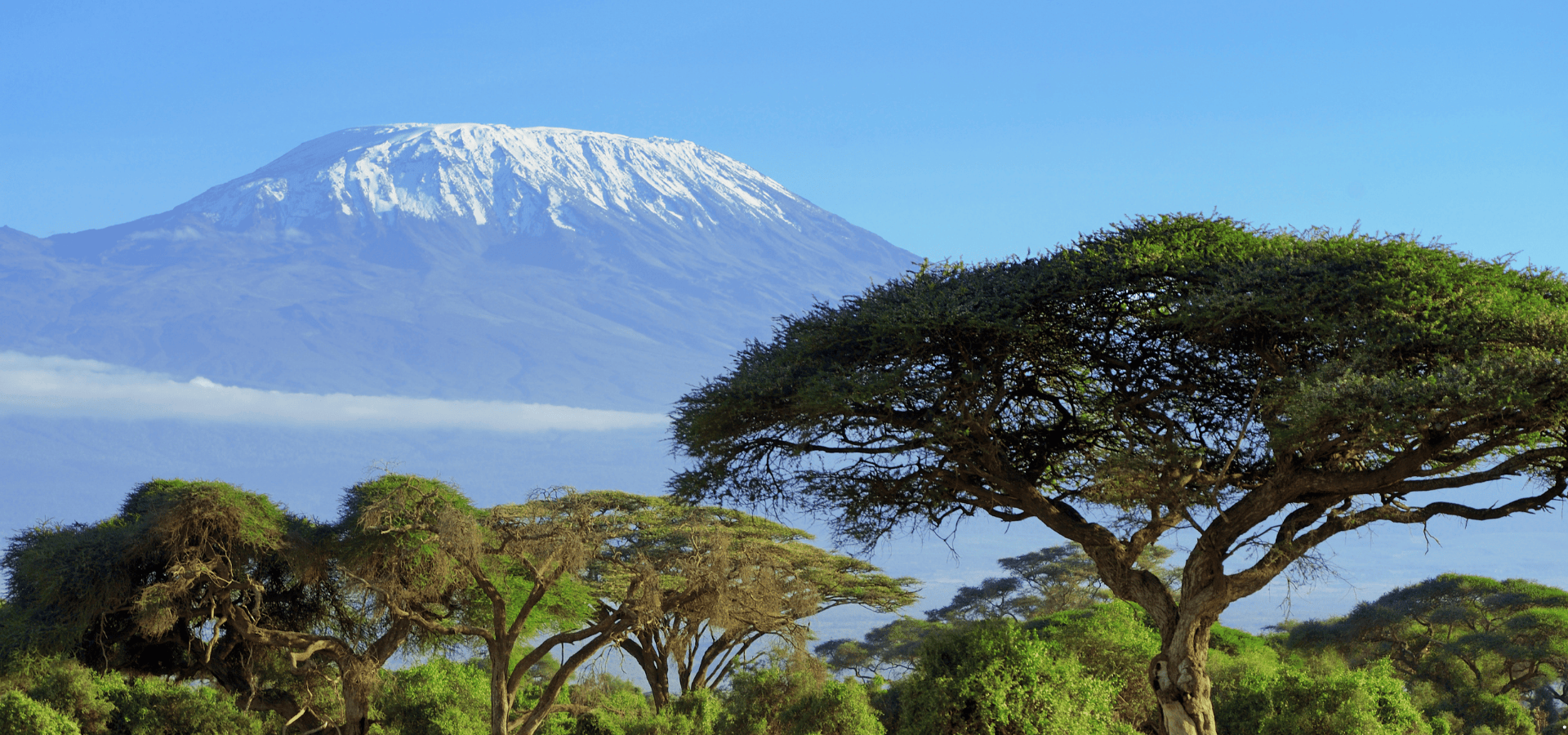Mt. Kilimanjaro