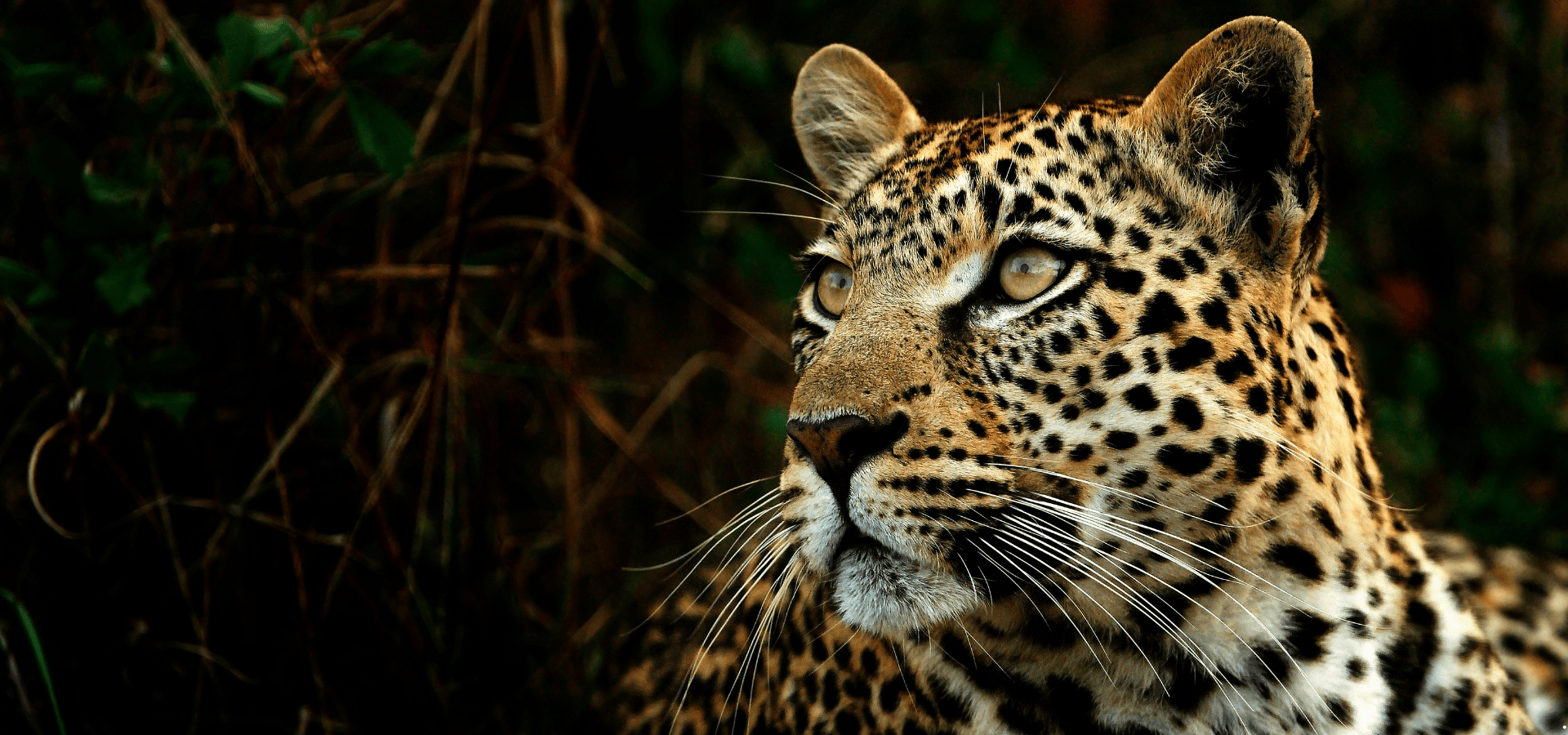 Khanga Africa Adventure