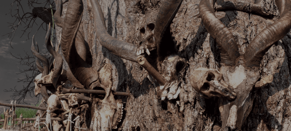 1​0 Days ​Cultural Encounters of Tanzania​