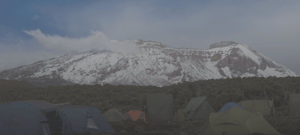 MT. KILIMANJARO