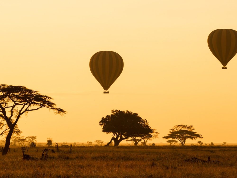 Serengeti-Hot-Air-Balloon