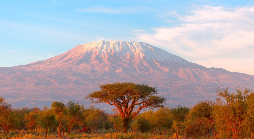 kilimanjaro (1)