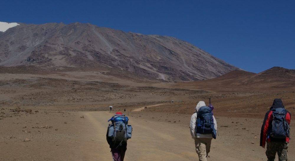 kilimanjaro (3)